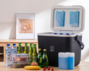 Koelbox 22L